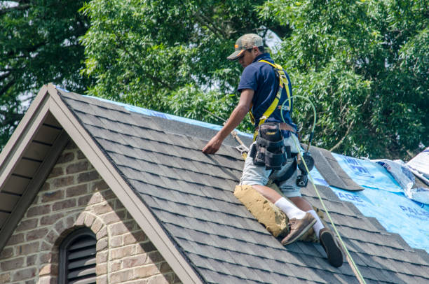 Best Roof Maintenance Services  in Paris, MO